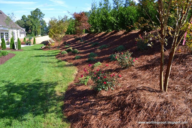 landscaping on a sloping hill via Worthing Court blog