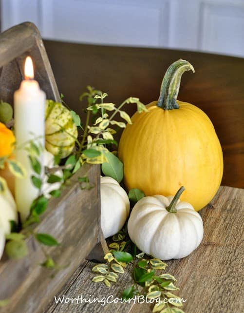 Worthing Court: Wooden tool box filled with yellow and white pumpkins and fresh greenery. The aged wood makes a great base for the centerpiece.