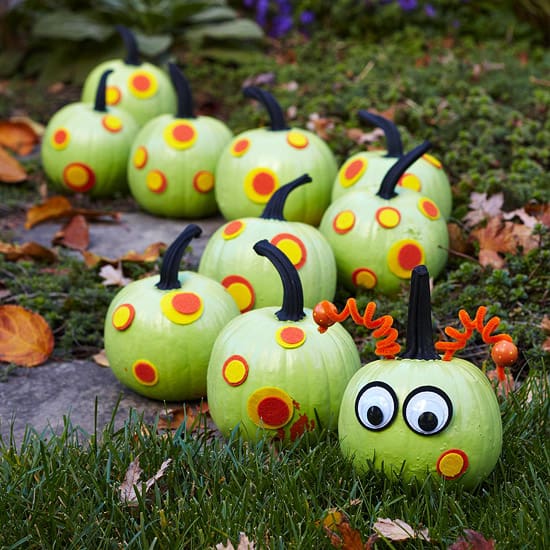 Non-scary caterpillar pumpkins