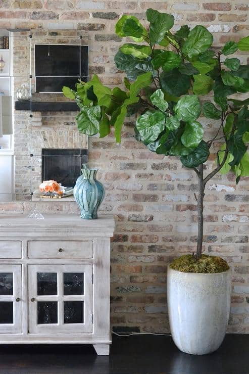 Loads of tips for how to freshen up a room on a budget. Whether it's something small or a large tree, something real or something fake, adding greenery or flowers to a room is literally like giving the room a breath of fresh air.