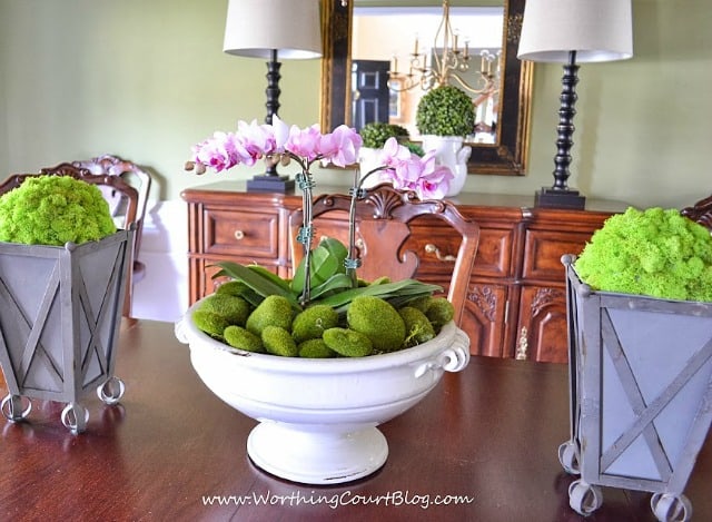 A spring centerpiece on a dining room table consisting of an orchid filled urn flanked by reindeer moss covered styrofoam balls in zinc planters