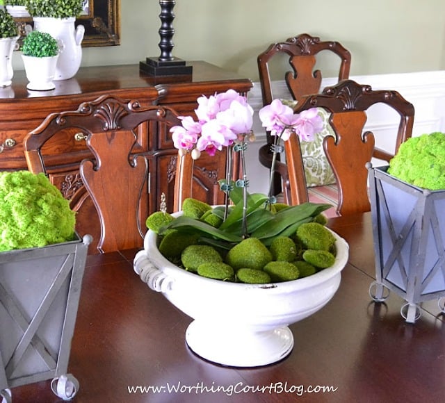 Grocery store orchids fill a large urn on a dining room table decorated for spring