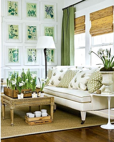 Room decorating ideas - sneak in some green:: WorthingCourtBlog.com
