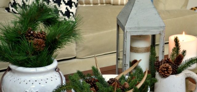 A winter coffee table vignette using evergreens and white
