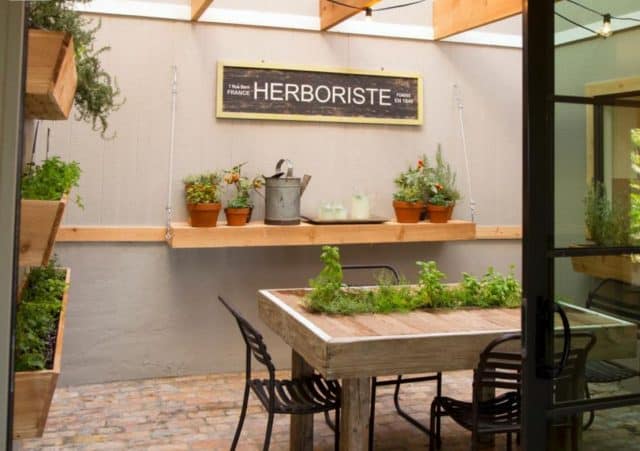 Favorite DIY Indoor Herb Garden Ideas