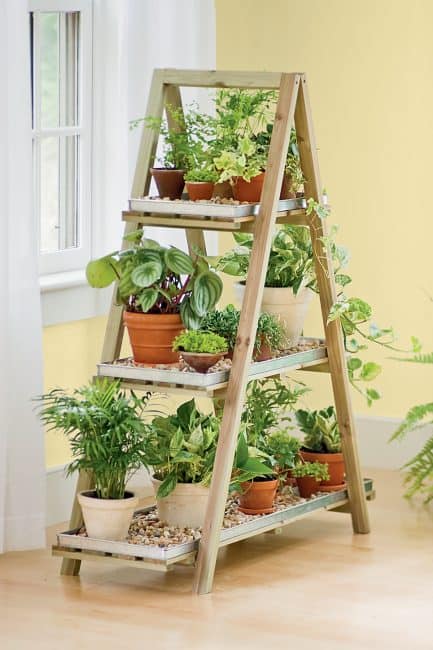 Use a stepladder as a stand for indoor herbs and plants