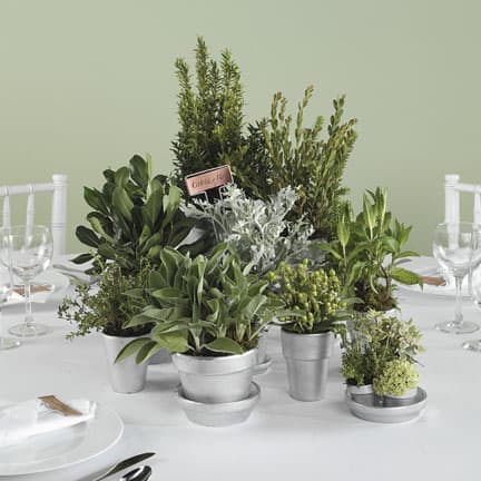 Kill two birds with one stone by grouping pots of herbs together to create a pretty table centerpiece.