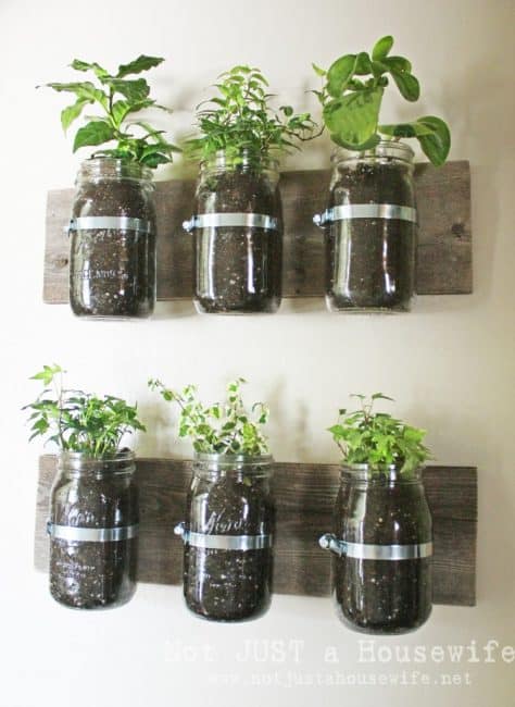 Mason jar herb garden