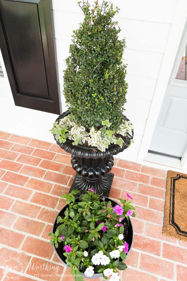Simple container plantings for a spring farmhouse style front entry