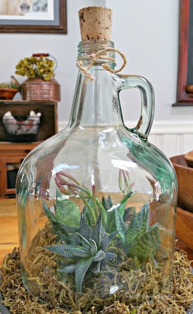 DIY Cloche Garden From A Repurposed Bottle