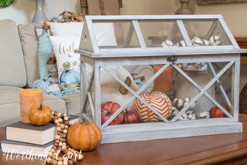 Fall vignette in a terrarium || Worthing Court