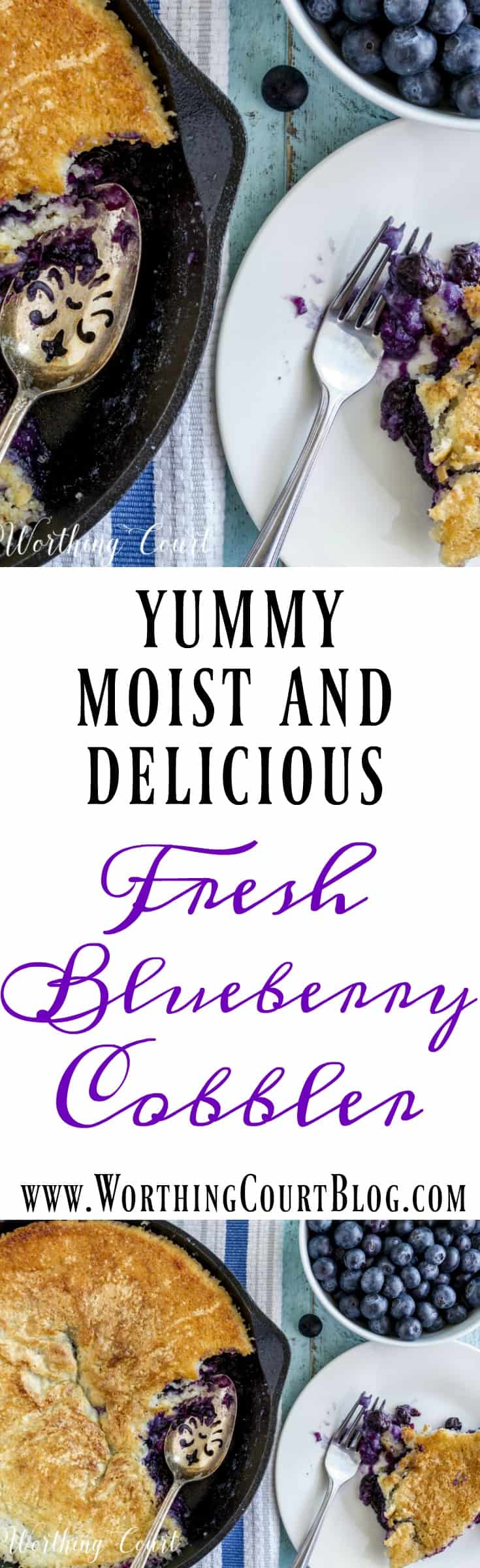 Delicious Fresh Blueberry Cobbler Recipe || Worthing Court