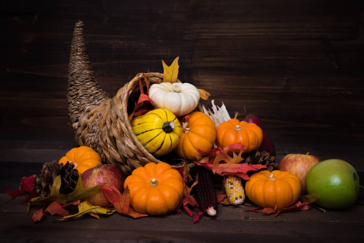 Thanksgiving centerpiece using a wicker cornucopia with pumpkins spilling out of the front