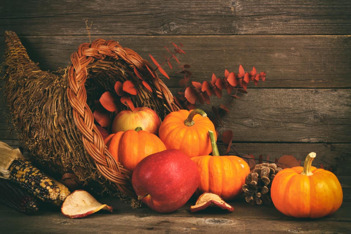 Thanksgiving centerpiece using a wicker cornucopia with pumpkins spilling out of the front