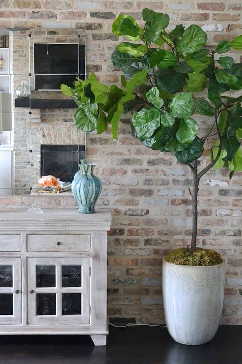 Des tas de conseils pour rafraîchir une pièce avec un budget limité. Qu'il s'agisse de quelque chose de petit ou de grand arbre, de quelque chose de réel ou de faux, ajouter de la verdure ou des fleurs à une pièce revient littéralement à donner à la pièce une bouffée d'air frais.