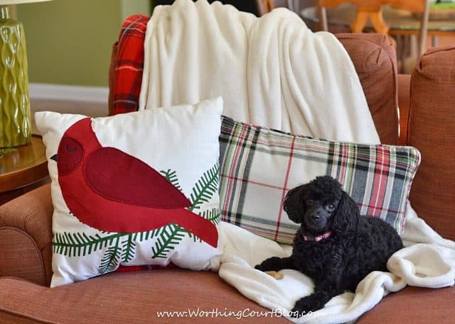 Worthing Court: Creating a cozy spot with the dog lying on the couch.