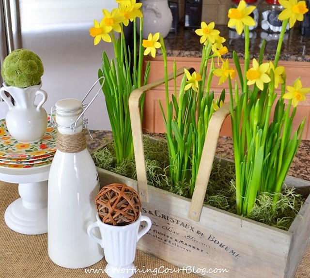 Easy and cheery 5 minute Spring vignette on a kitchen island with daffodils and other natural elements.