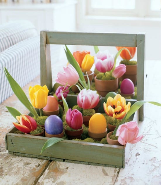 Spring flowers look great in mini clay pots that are gathered together in a wooden tray with bits of reindeer moss tucked into each pot.