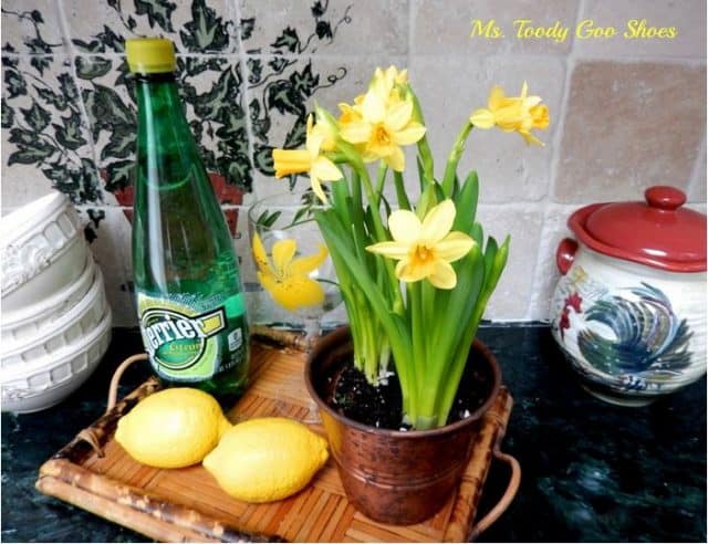 Yellow daffodils in a pot beside lemons.