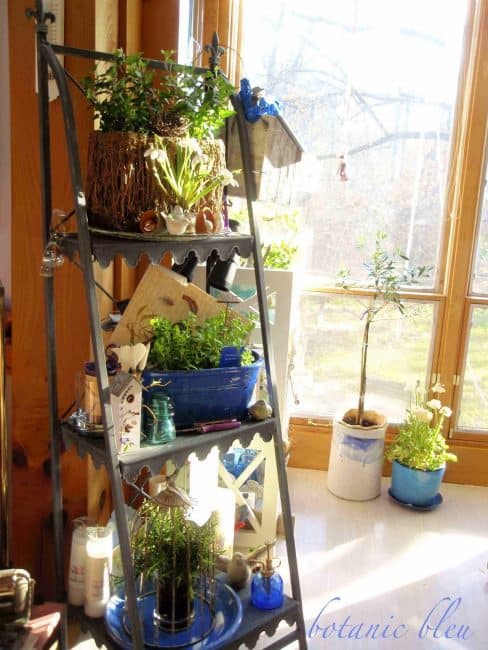 Ladder shelf with potted plants on it.