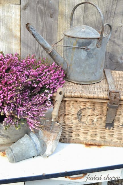 A watering can beside lilacs.