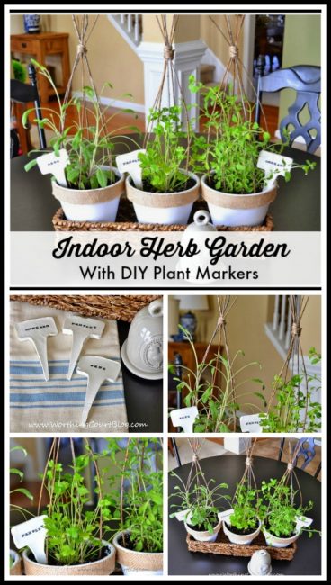 An indoor herb garden using inexpensive clay pots, diy twig plant cages and how to make plant markers graphic.