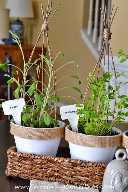 Tutorial for easy to make plant markers with the markers in the white plant containers.