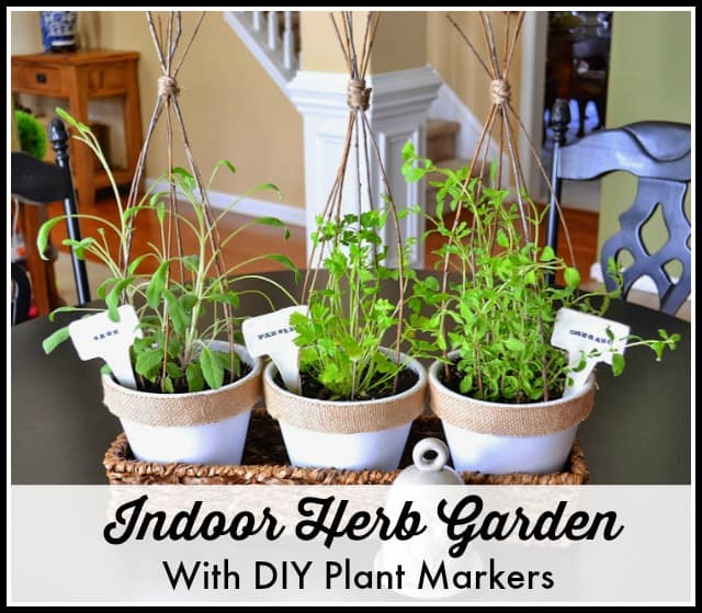 How To Grow Herbs Indoors and DIY Plant Markers - WorthingCourtBlog 