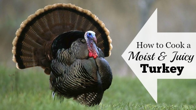 How to cook a moist and juicy turkey graphic.