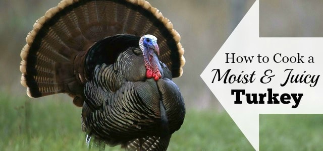 I'm Dying To Talk Turkey With You - Worthing Court | DIY Home Decor ...