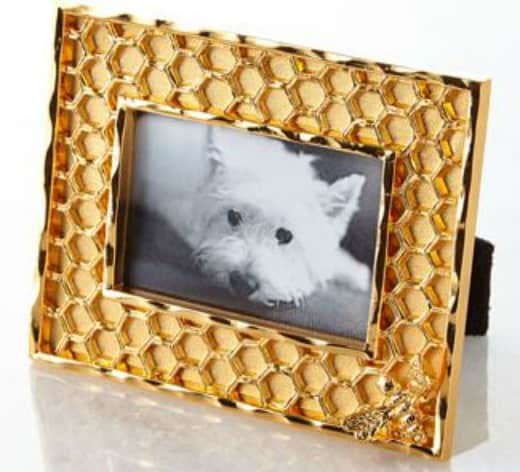 Bumblebee Frame with a picture of a dog in it.
