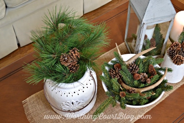 There is pine cones, faux antlers and candles on the coffee table.