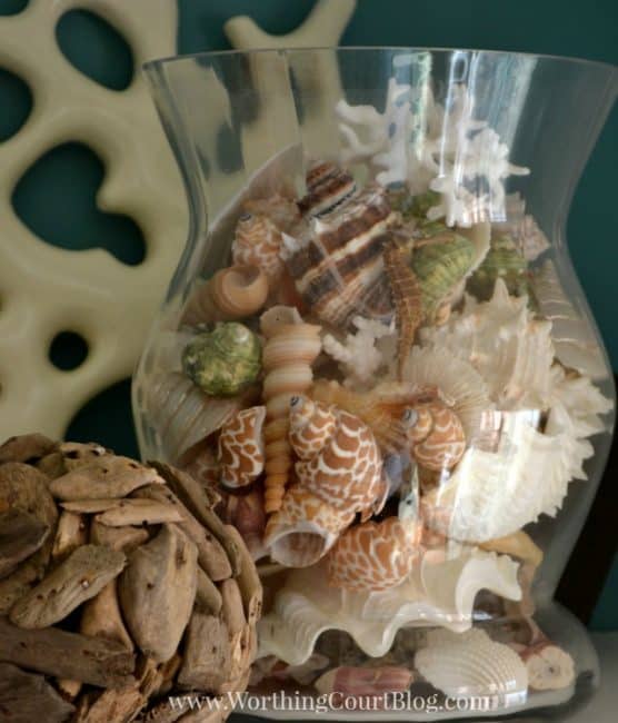 Assorted beach shells in a glass container with a driftwood orb.