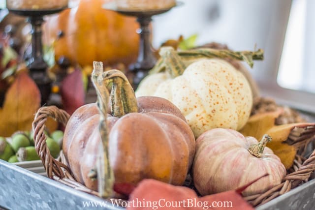 A woven tray with multi colored pumpkins sitting in it.