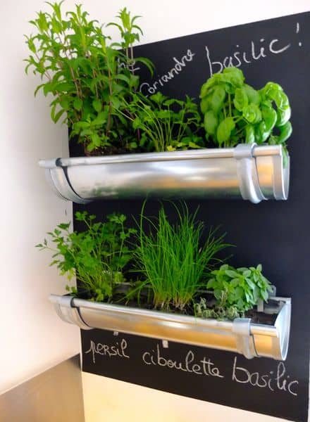 Silver troughs on a wall growing herbs.