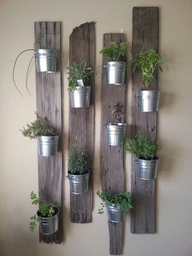 Wooden pallets on a wall with silver galvanized buckets growing herbs.