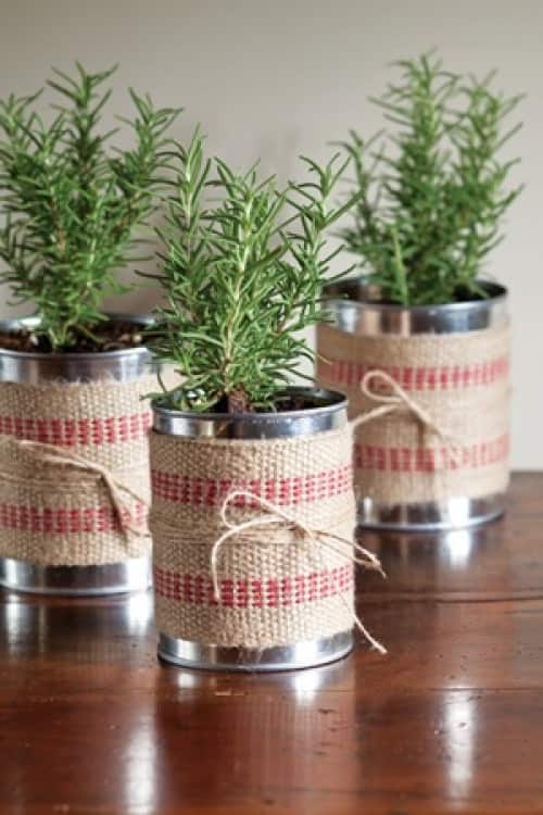 Plant herbs in cleaned tin cans wrapped with jute ribbon