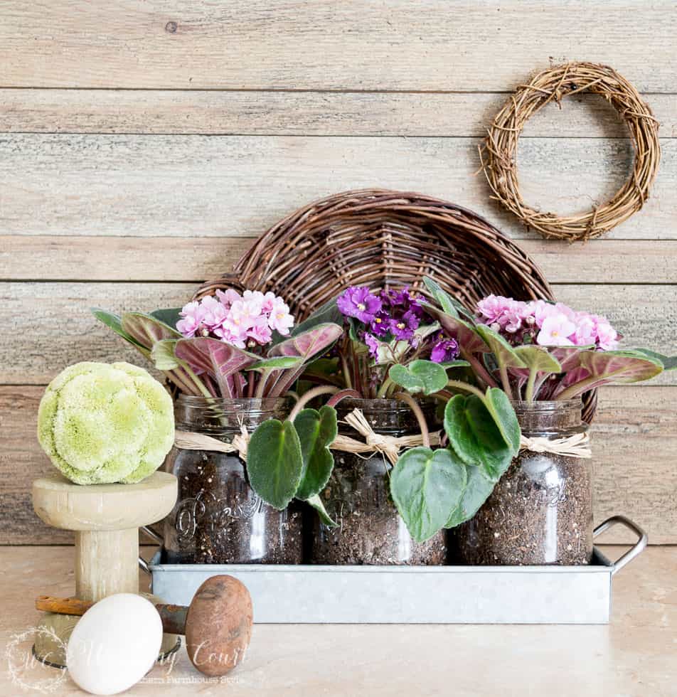 Fresh flowers have always been a favorite Mother's Day gift of mine, but sadly they fade quickly and the containers are often stashed away in a closet, never to be used again. I came up with a solution for those challenges though. A set of mason jars, that come nestled in a galvanized metal tray, make the perfect planters for some pretty violets.