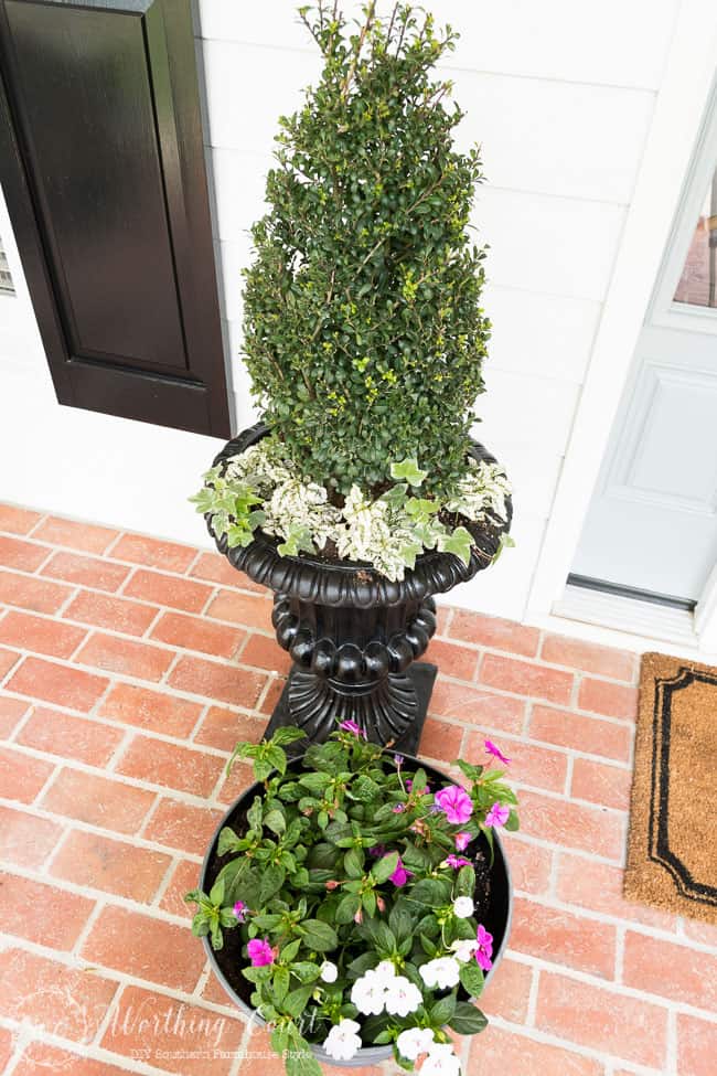 Simple container plantings for a spring farmhouse style front entry.