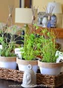 DIY Indoor Herb Garden