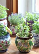 several pots of herbs in colorful containers in front of a window
