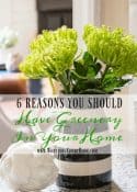 6 Reasons To Add Greenery Or Flowers To Your Home