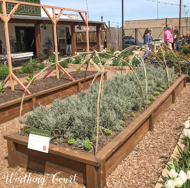 Gardening bed at Magnolia Market #magnoliamarket #fixerupper #garden #gardenideas 