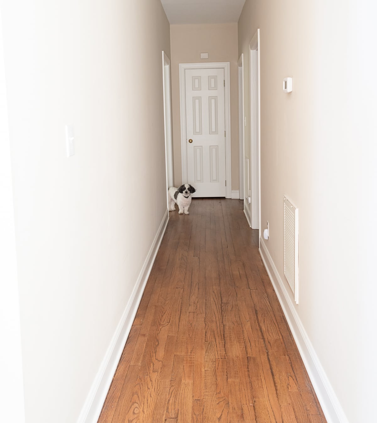 long hallway with beige walls and hardwood floors