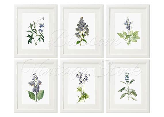 Wall Art Wall Decor Floral Prints Blue Flower Print Set of 6, Vintage Flower Botanical Home Decor, Flower Wall Art #art #digital #botanical #botanicalprints #artideas #blueflowers