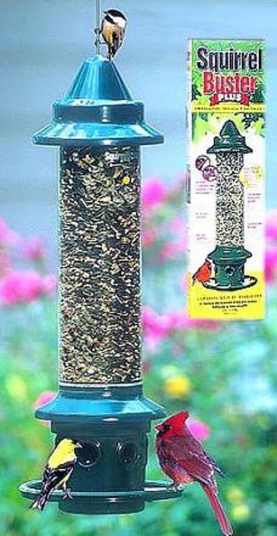 A squirrel proof bird feeder that actually keeps the squirrels out! #birdfeeder #squierrelproof #birds #birdfeeding #birdwatching