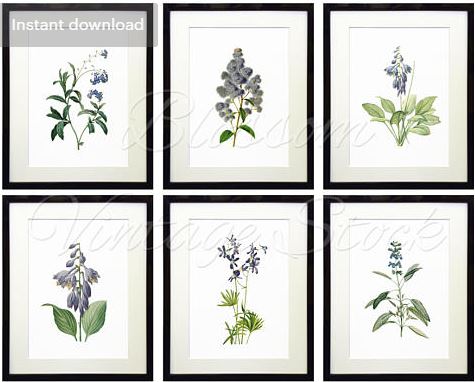 set of six blue floral botanical prints