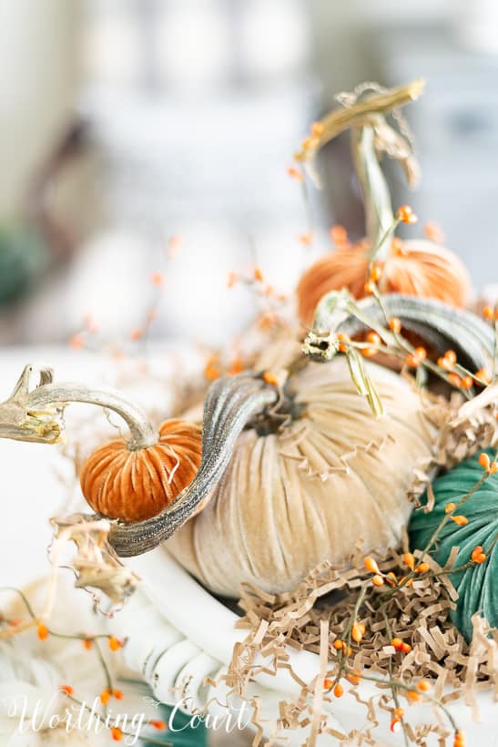 The close up of the mini orange pumpkin.