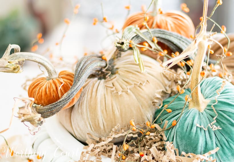 Up close picture of the fall centerpiece with velvet pumpkins.