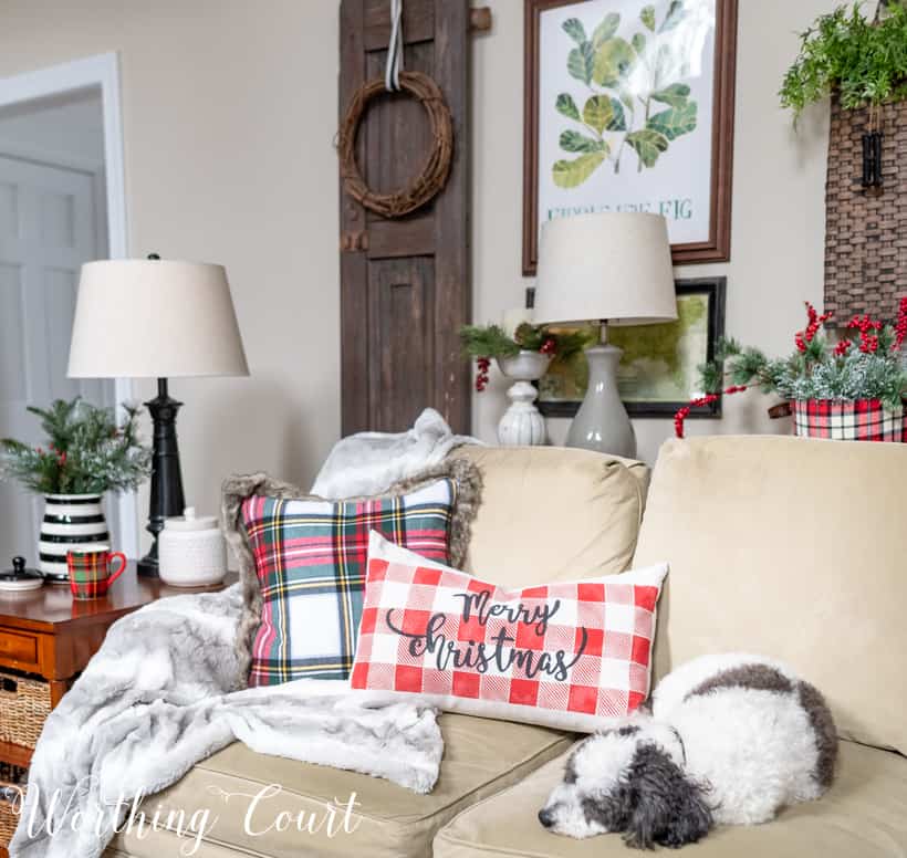 Cute dog on a sofa with Christmas pillows.